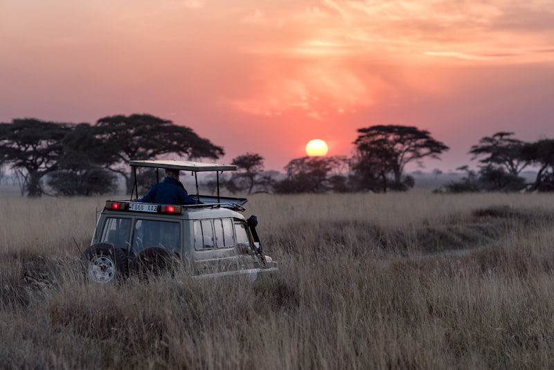 Elephant Safari