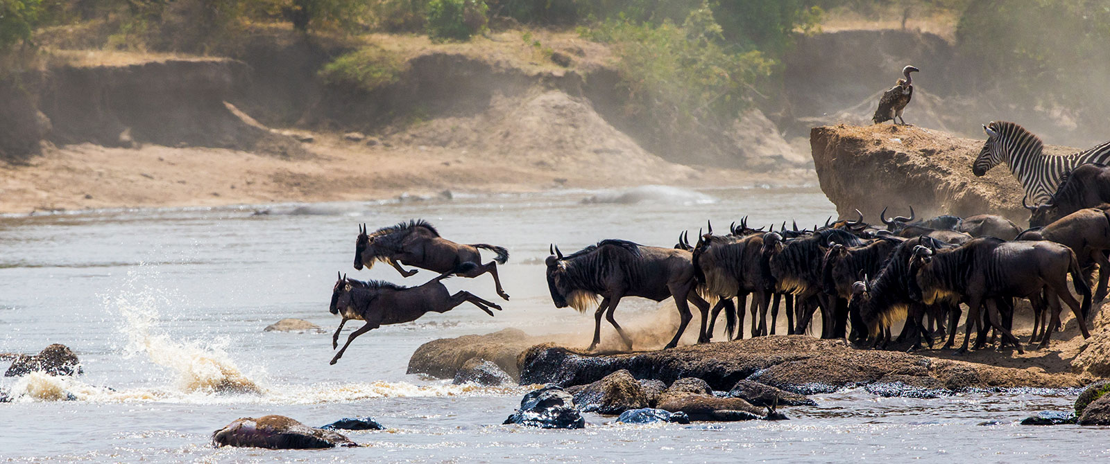 Great Migration