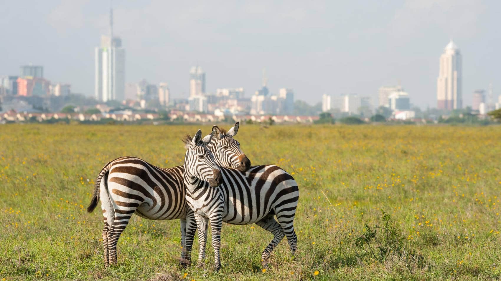 Nairobi NP